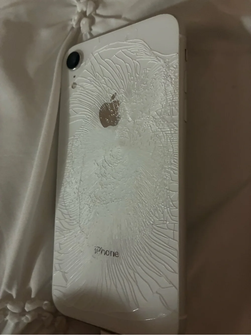 Apple back cracked